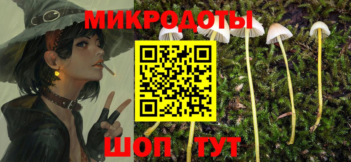 Псилоцибиновые грибы мицелий  Псилоцибиновые грибы Psilocybine cubensis  Боровичи  цена наркотик  Вход с VPN 